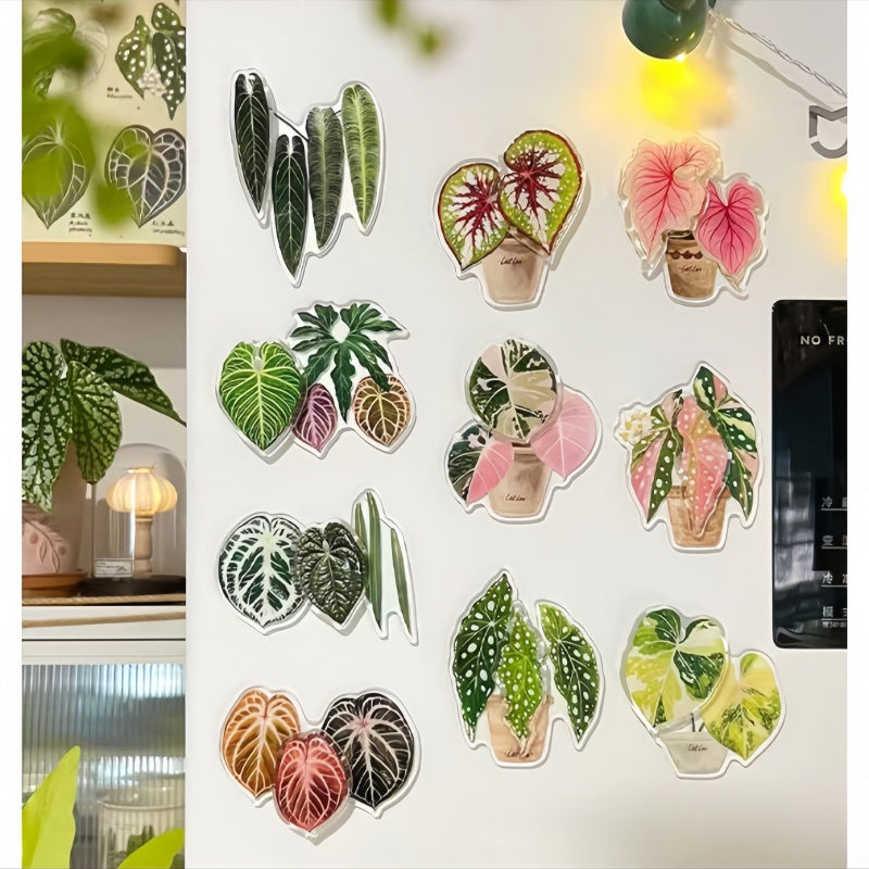 The Acrylic Green Plant Fridge Magnet Is Rotatable