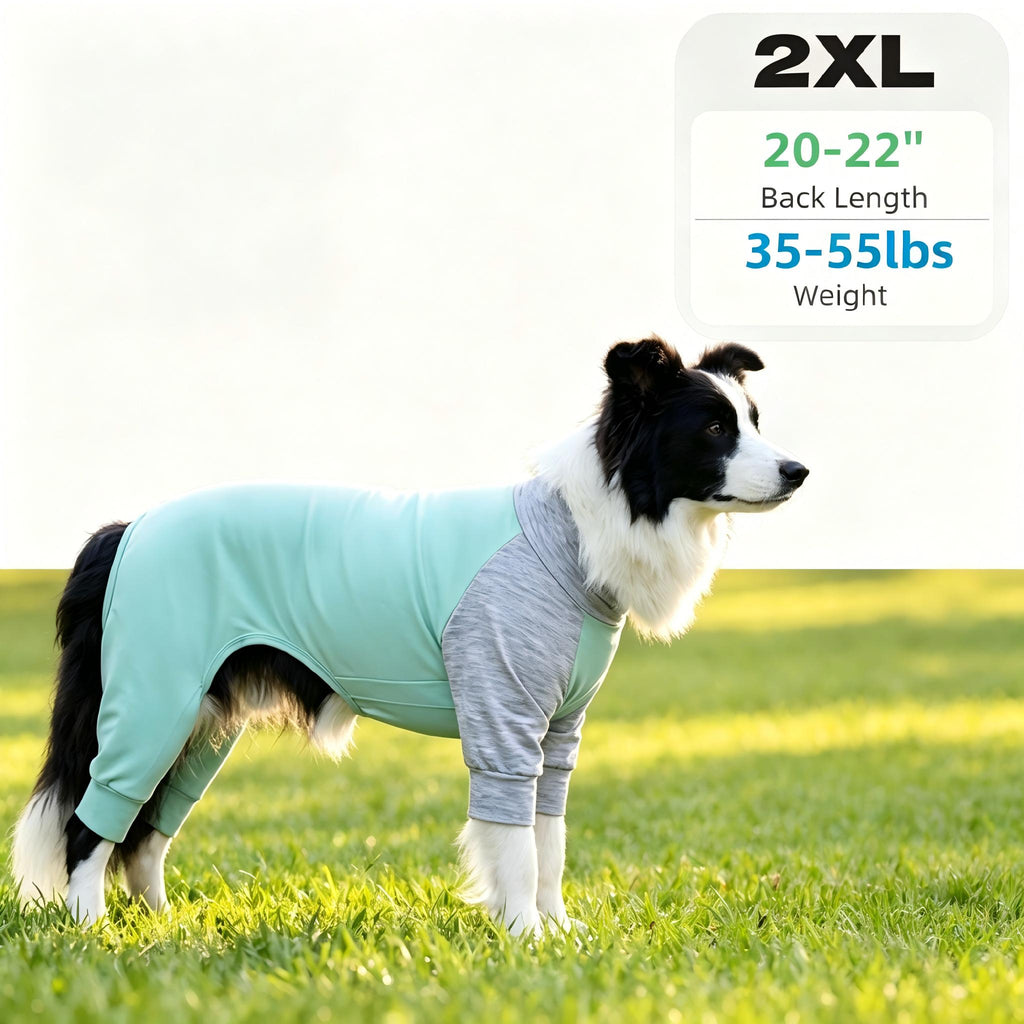 Axxlern Design Dog Pajamas,Dog Surgery Recovery Suit,Dog Onesie