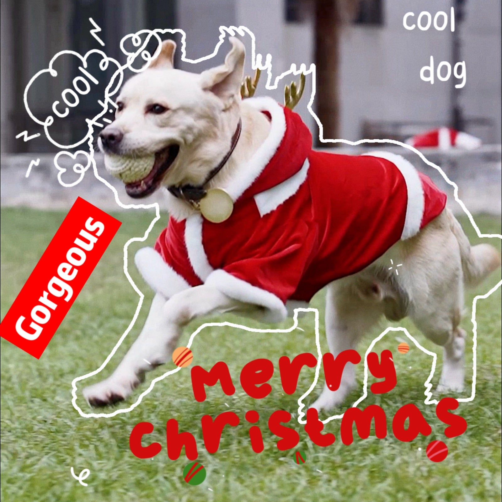 Christmas Dog Hoodie for Small Medium Large Dogs, Santa Claus Dogs Hoodie Christmas Cosplay Clothes Reindeer Dog Costume Outfits Pullover