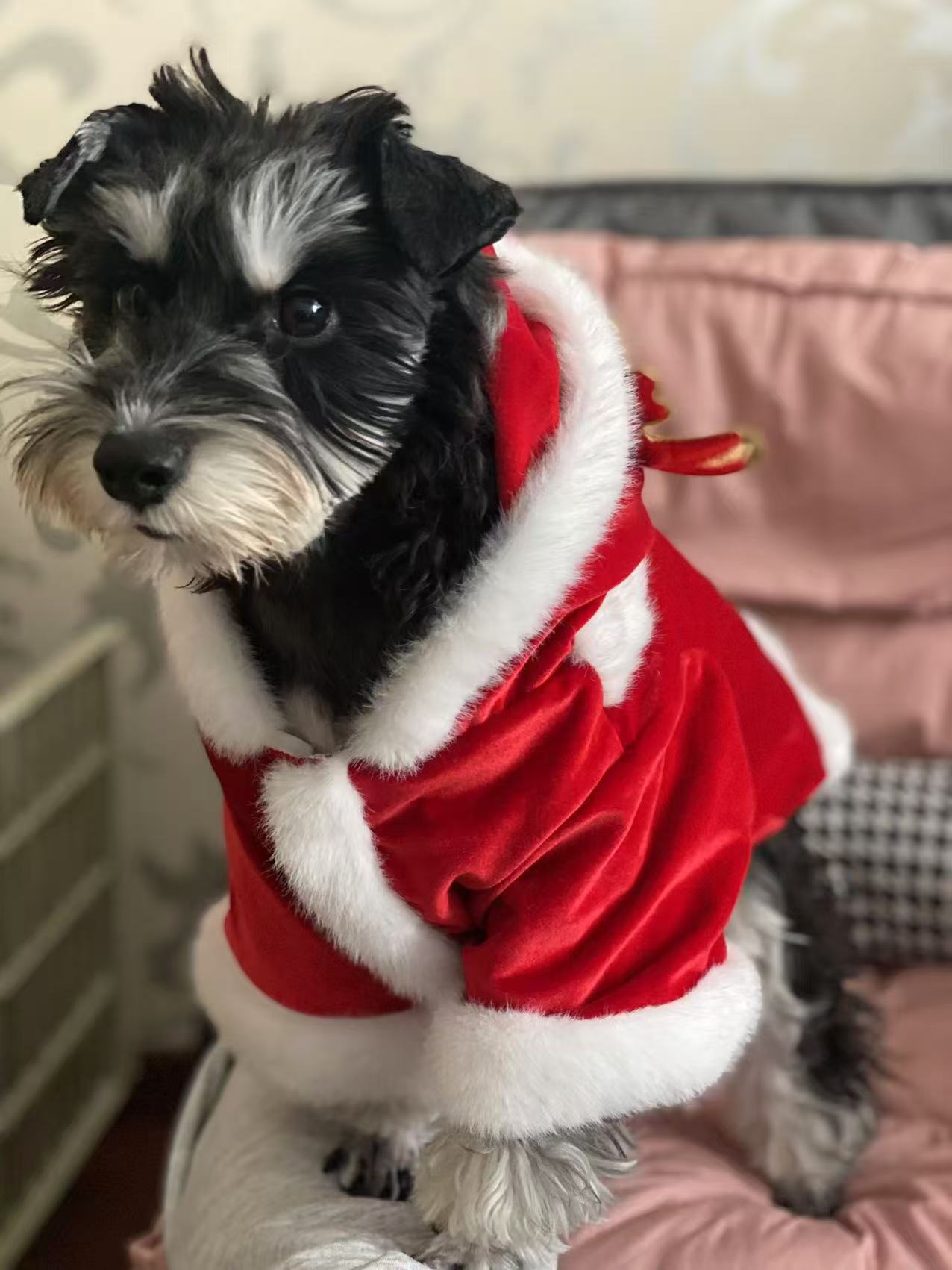 Christmas Dog Hoodie for Small Medium Large Dogs, Santa Claus Dogs Hoodie Christmas Cosplay Clothes Reindeer Dog Costume Outfits Pullover