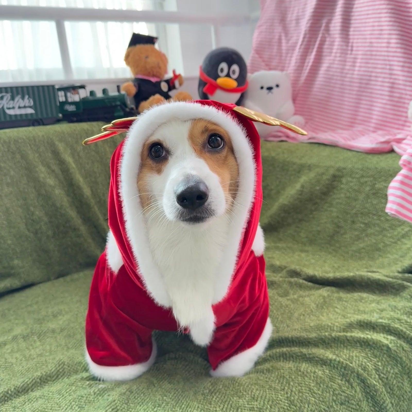 Christmas Dog Hoodie for Small Medium Large Dogs, Santa Claus Dogs Hoodie Christmas Cosplay Clothes Reindeer Dog Costume Outfits Pullover