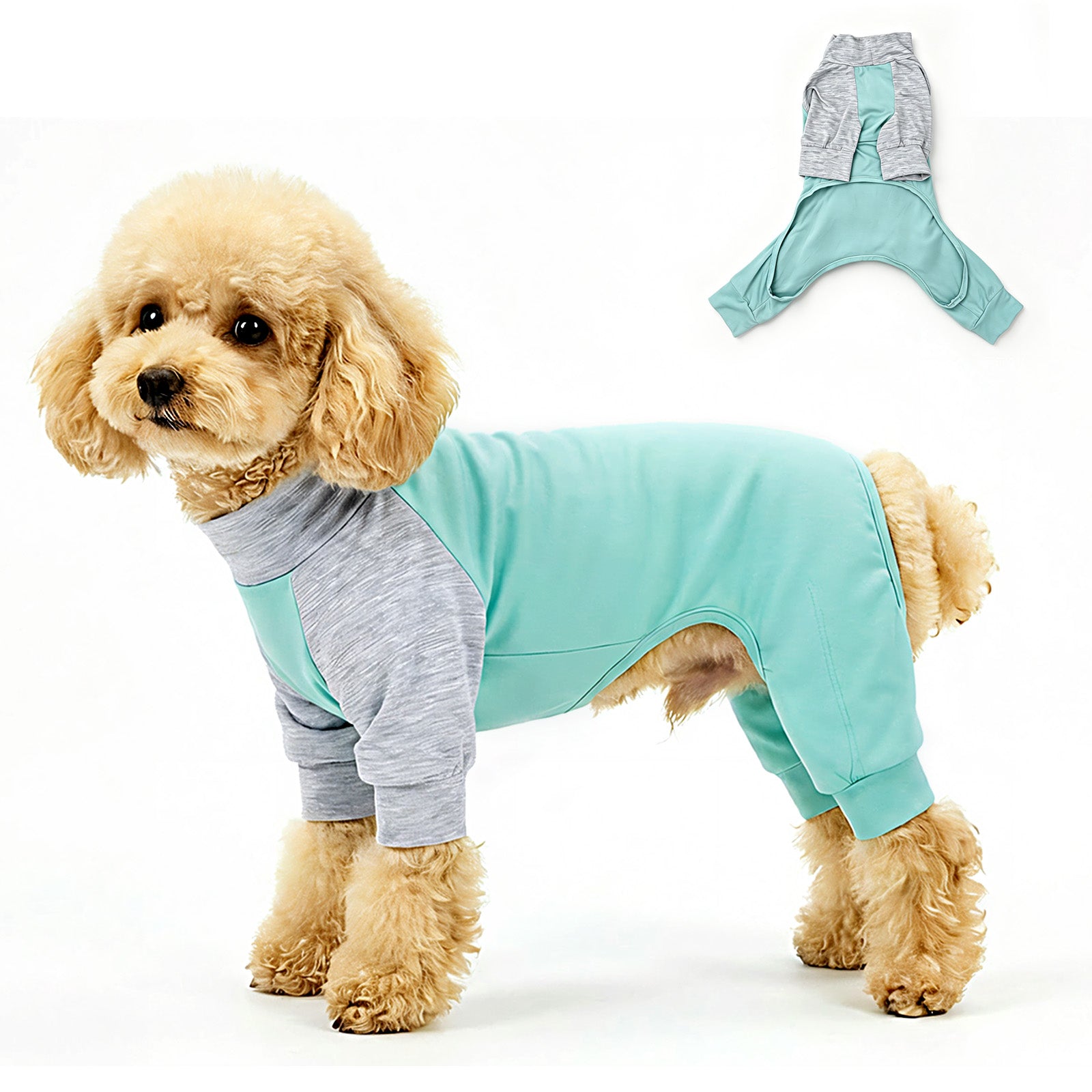 Axxlern Design Dog Pajamas,Dog Surgery Recovery Suit,Dog Onesie