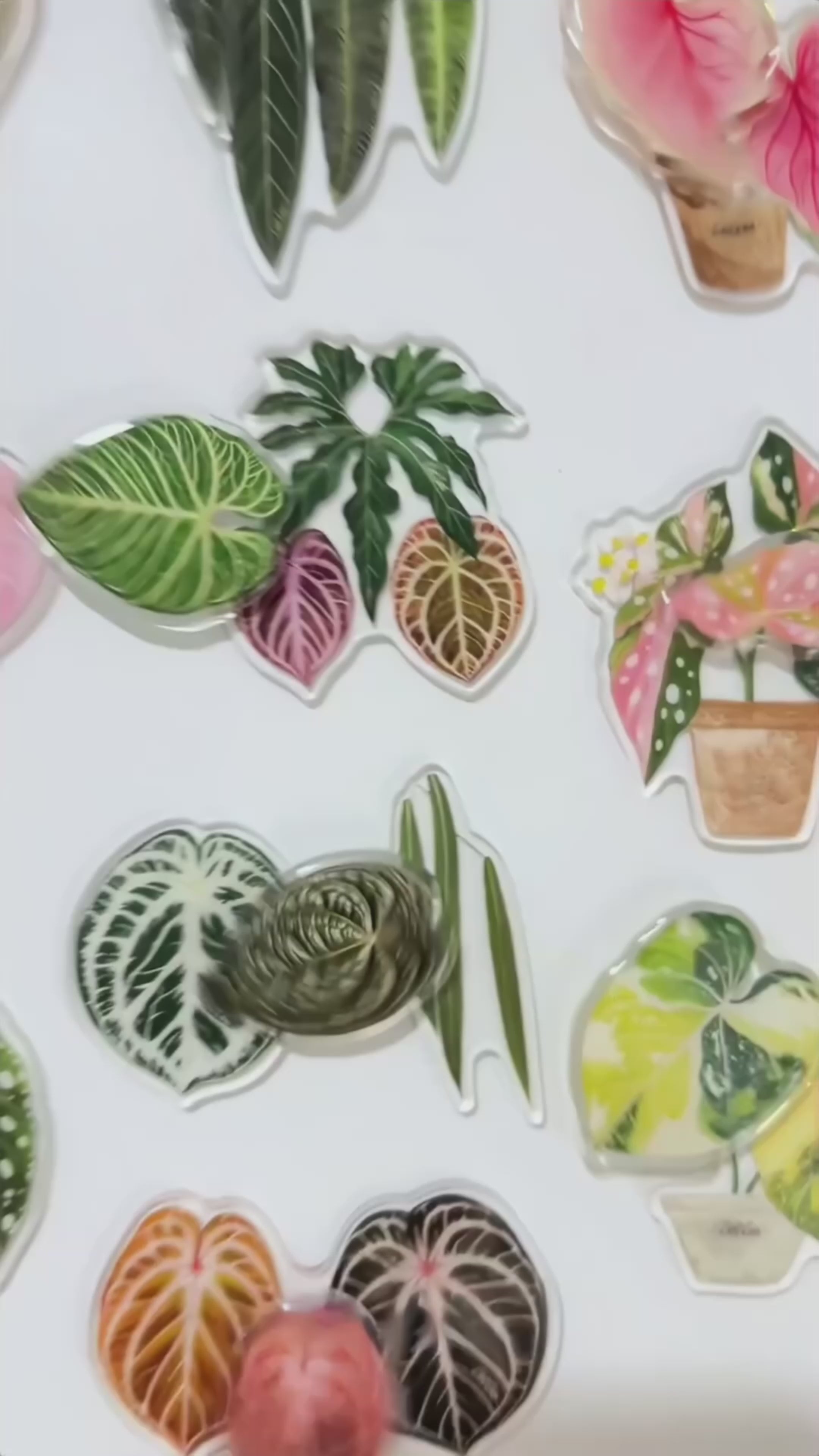 The Acrylic Green Plant Fridge Magnet Is Rotatable
