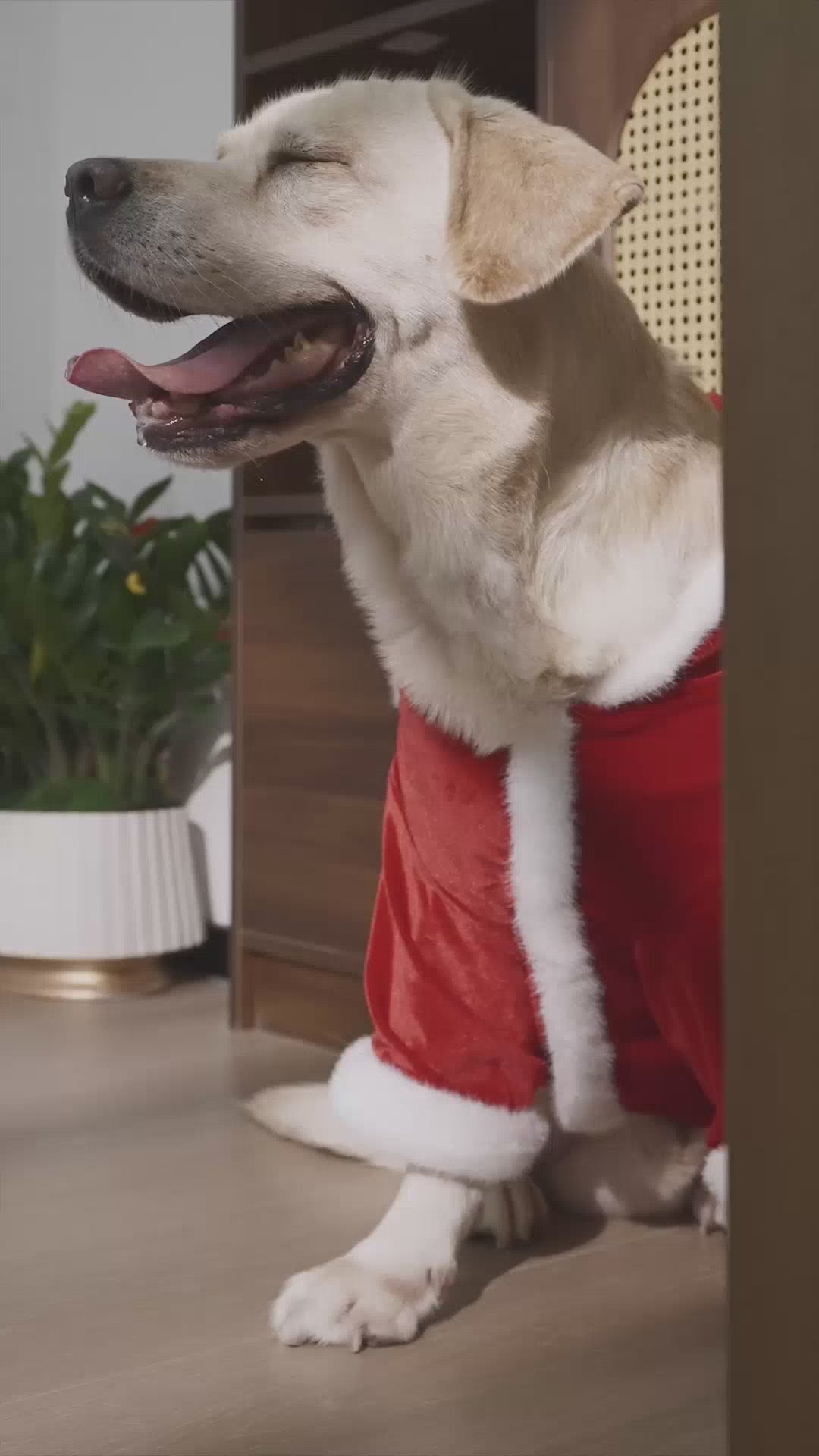 Christmas Dog Hoodie for Small Medium Large Dogs, Santa Claus Dogs Hoodie Christmas Cosplay Clothes Reindeer Dog Costume Outfits Pullover
